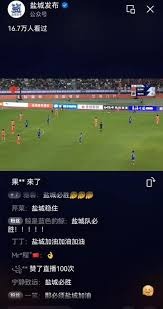意甲焦点战：AC米兰惜败乌迪内斯解析